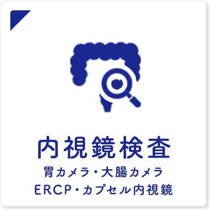 内視鏡検査 胃カメラ・大腸カメラERCP・カプセル内視鏡