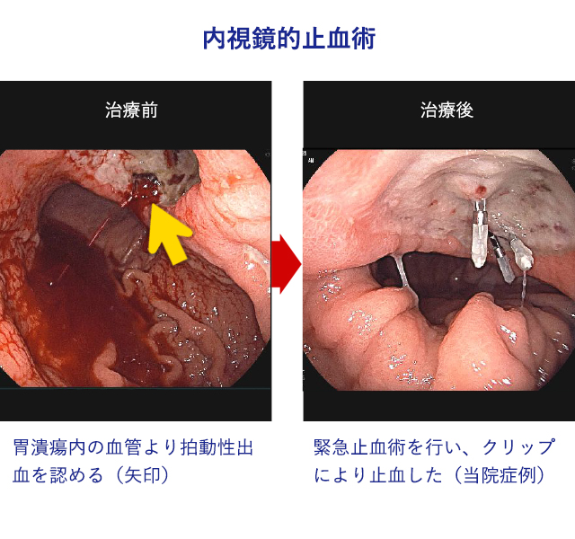 診療内容