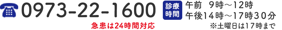 0973-22-1600 午前  9時〜12時 午後14時〜18時 ※土曜日は17時まで