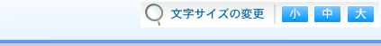文字サイズ